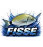 FISSE