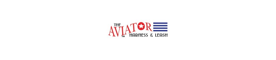 THE AVIATOR