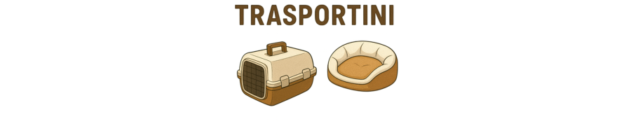 TRASPORTINI