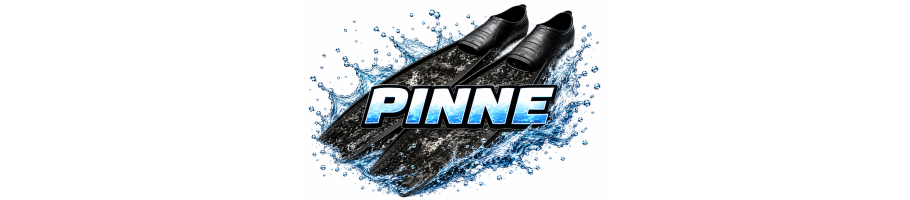 PINNE