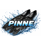 PINNE