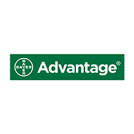 Advantage