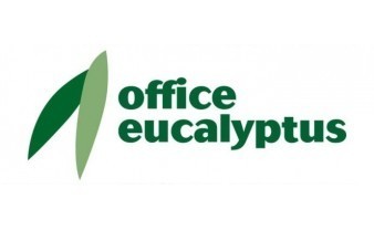 OFFICE EUCALYPTUS
