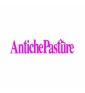 ANTICHE PASTURE
