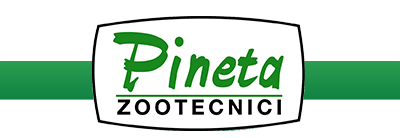 PINETA